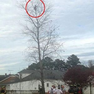 ��6�q��ͯ����15�ט�� ���ȆT�����ؙC(j��)�������