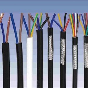 ������|����|���N��е�һ�N��ʲô�ǿ�����|��